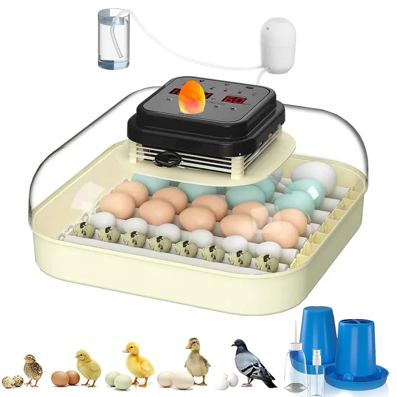 CoInceptus 35 Eggs Incubators for Hatching Eggs